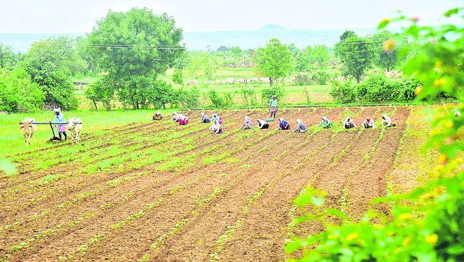 పంటల రుణపరిమితి పెంపు