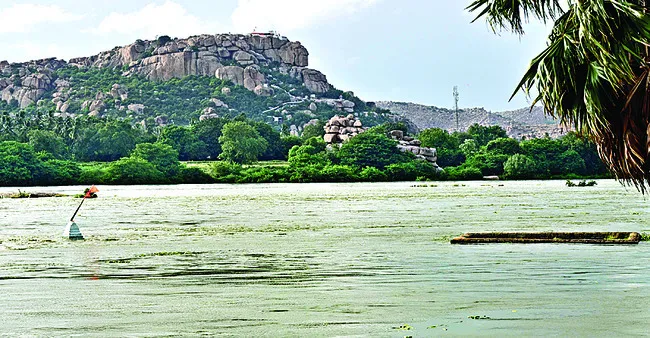 తుంగ.