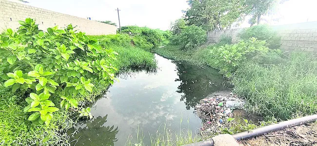నాలా.