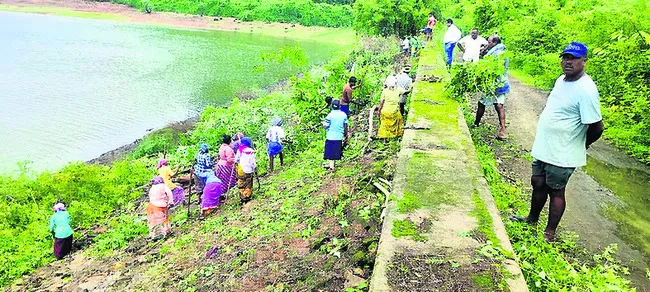 జల్లే