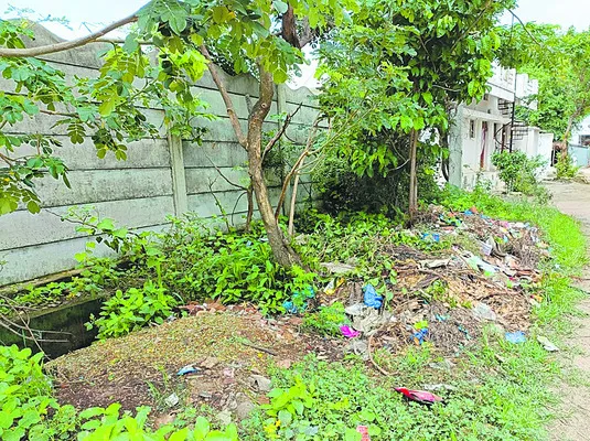 ముసురుకుంటున్నాయ్‌.. 