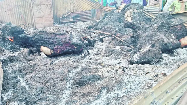 మట్టి