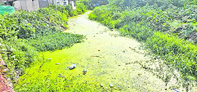 వర్షా కాలం.. జరభద్రం