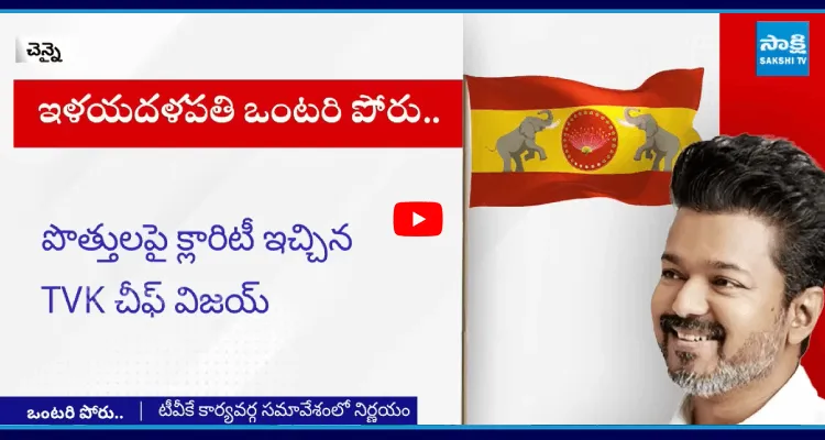 సింహం సింగిల్ గా వస్తుంది