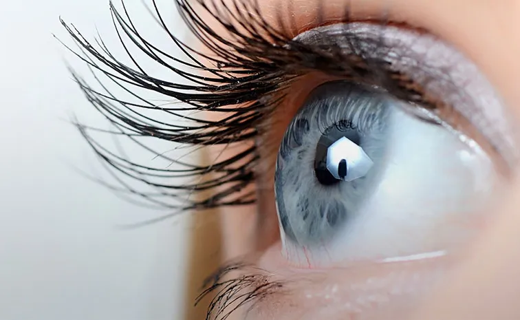 These Best Foods For Eye Health To Include In Your Diet