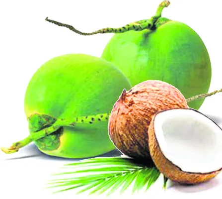 కొబ్బ