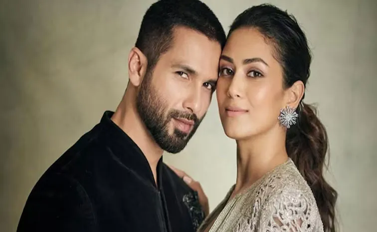 Mira Rajput Refused To Invest In Restaurant Serving Non Veg