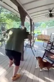 Squirrels outwitting homeowner funny video11