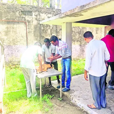 ‘జూనోటిక్‌’తో జాగ్రత్త 
