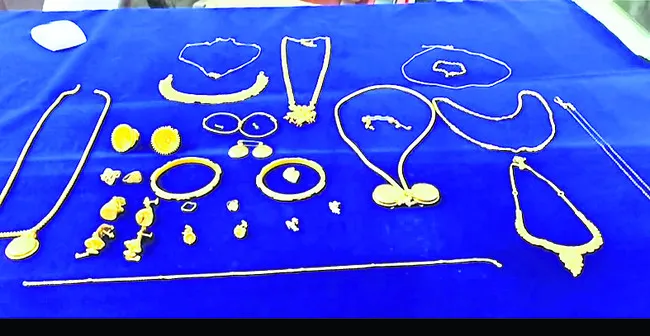 పనిమన
