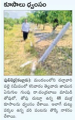 వైఎస్