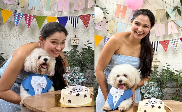 Andrea Jeremiah Celebrates Pet Dog Jon Snow Birthday