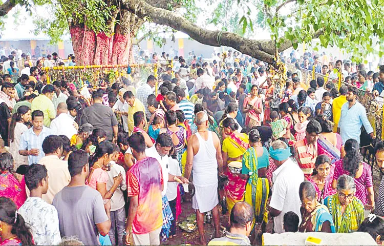 Devotees throng the Vellula Yellamma temple in Metpally mandal