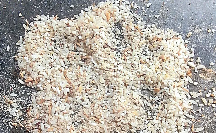 Mid-Day Meal Rice Contaminated with Insects at AP Schools: Andhra pradesh