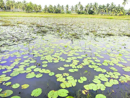 నిండా