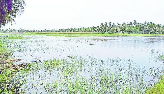 నాలుగ