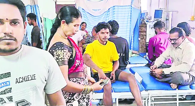 పిచ్చికుక్కల స్వైరవిహారం