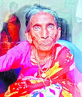 మనుమడి మృతి తట్టుకోలేక..