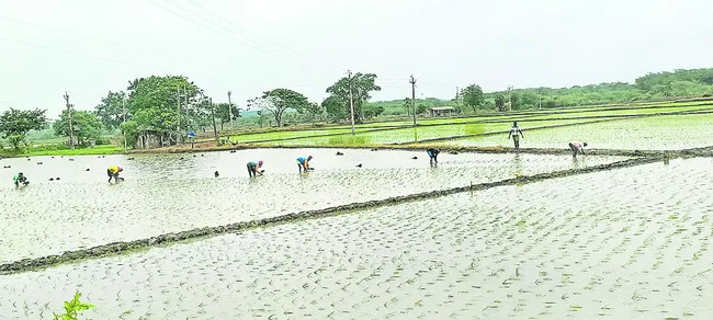 మడిలో
