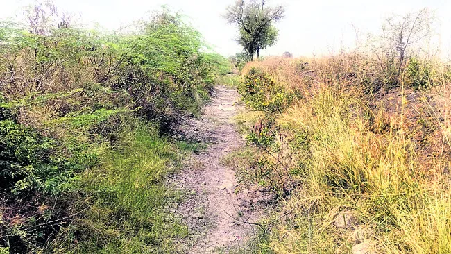 తీరని దాహం.. తడవని పొలం