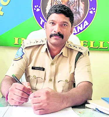 అడవుల సంరక్షణకు ప్రత్యేక చర్యలు