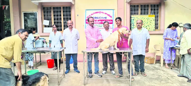 రేబిస్పై అవగాహన పెంచుకోవాలి