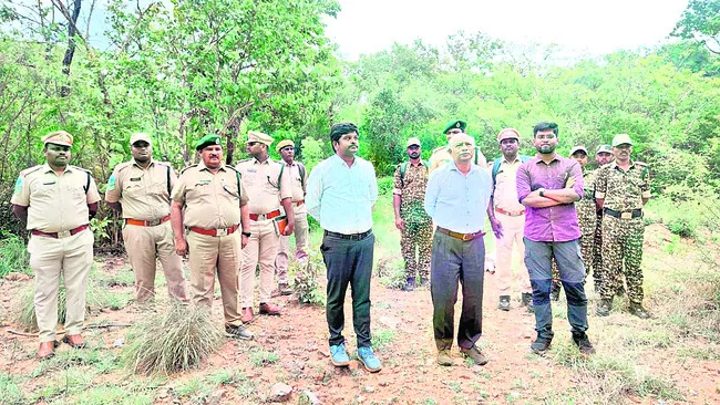 అడవులు, వన్యప్రాణుల అభివృద్ధికి చర్యలు 