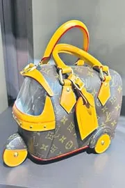 Louis Vuitton Launches Autorickshaw Handbag Worth Rs 35 lakhs only7