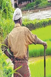 Investment of USD 75 bn needed for Indian farmers to adapt to climate change impact8