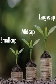 how large cap and small cap funds fits your risk appetite youth finance6