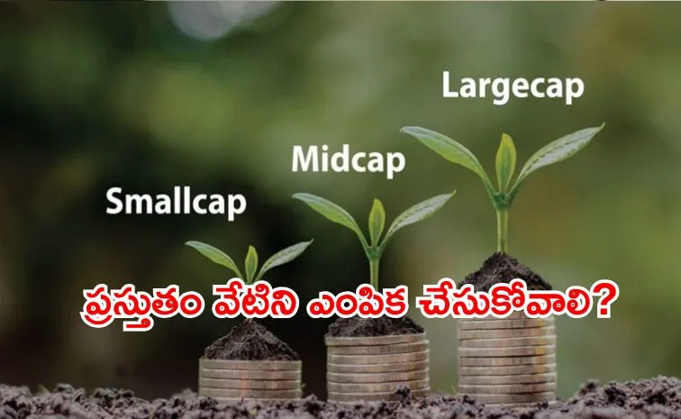 how large cap and small cap funds fits your risk appetite youth finance