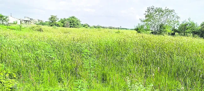 గాలిల