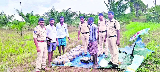 అధికా