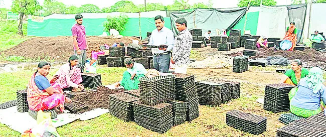 నర్సరీ నిర్వాహకులు నిబంధనలు పాటించాలి