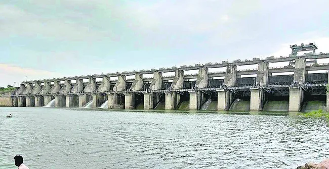 సాగుక