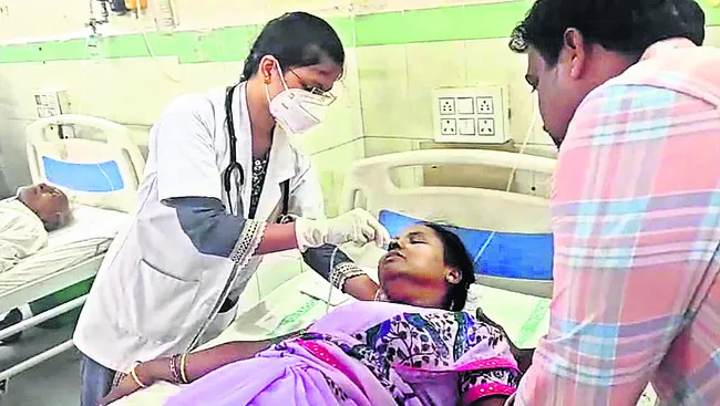 వనిపె