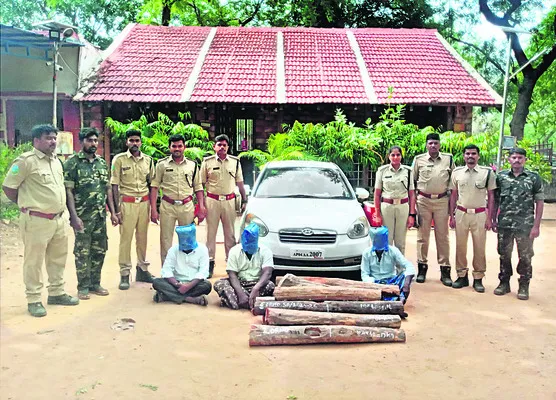 14 ఎర్రచందనం దుంగలు స్వాధీనం