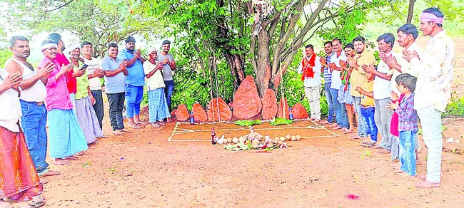 అడవంతా పండుగ..
