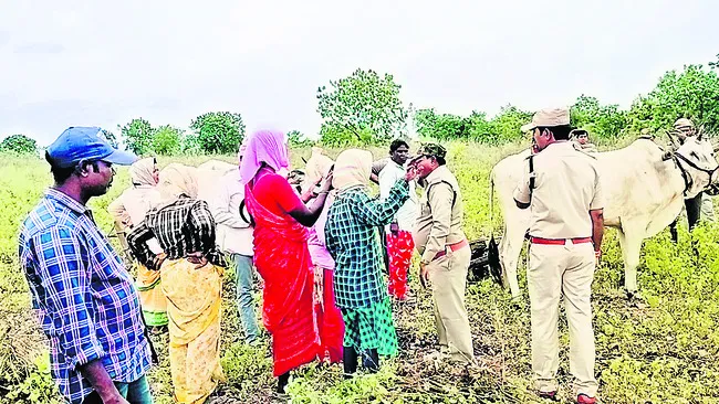 అటవీ ప్లాంటేషన్‌లో  సాగుకు యత్నం
