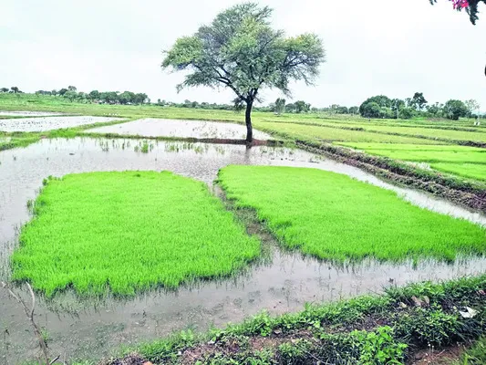పాత ఆయకట్టుకు సాగునీరు.. 
