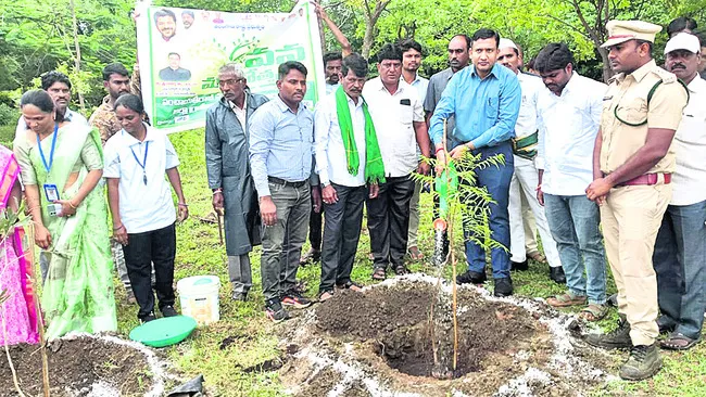 మొక్కలు నాటి సంరక్షించాలి