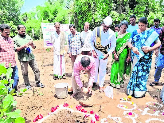 ఉద్యాన పంటల అభివృద్ధికి కృషి