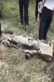 Air Force Fighter Jet Crashes In Rajasthan Churu4