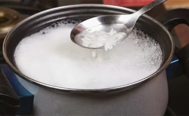 Nutritional Value And Usage Of Porridge1