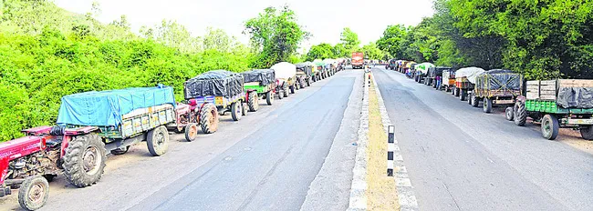 మామిడ