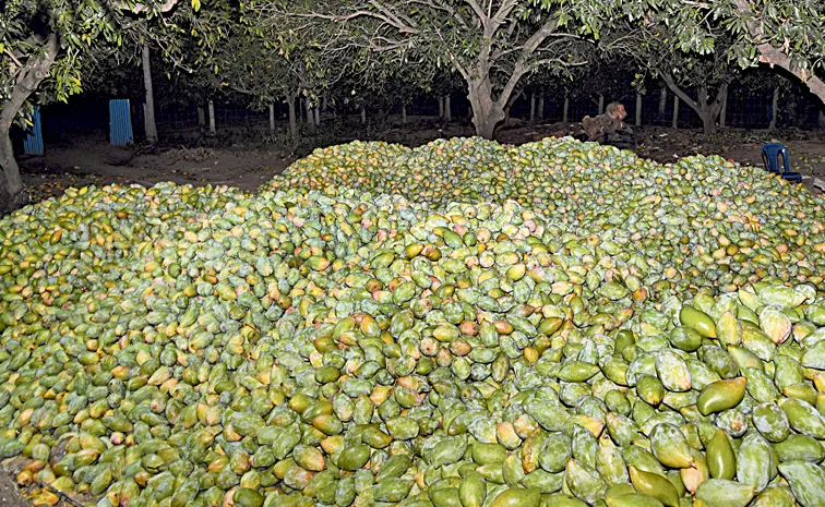గుండె ‘కాయ’కు గాయం!