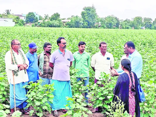 వడలిప