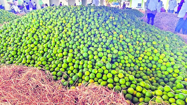 చీనీ