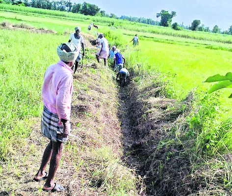 బాగుచేసేవారు లేక... 