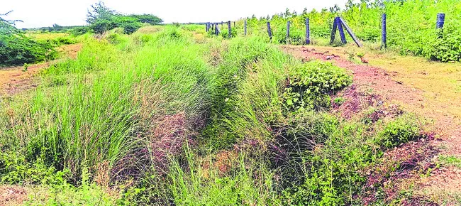 తీరువ